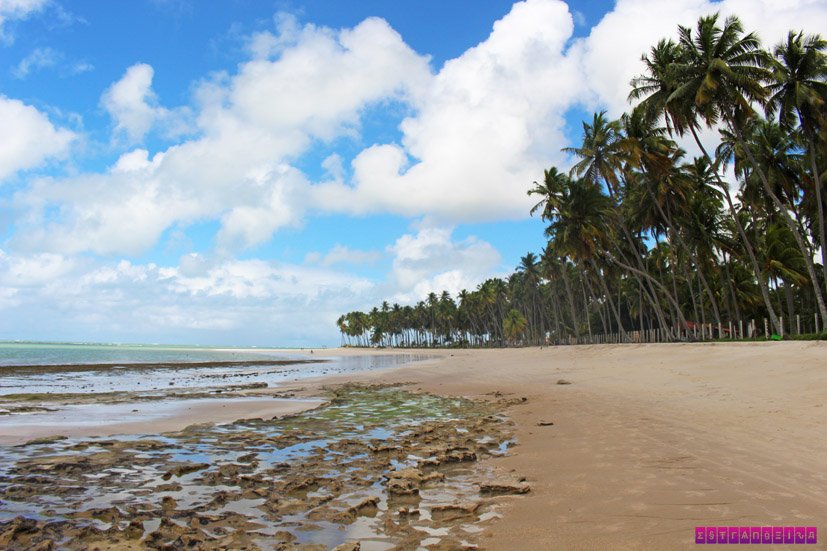 praia-dos-carneiros-o-que-fazer