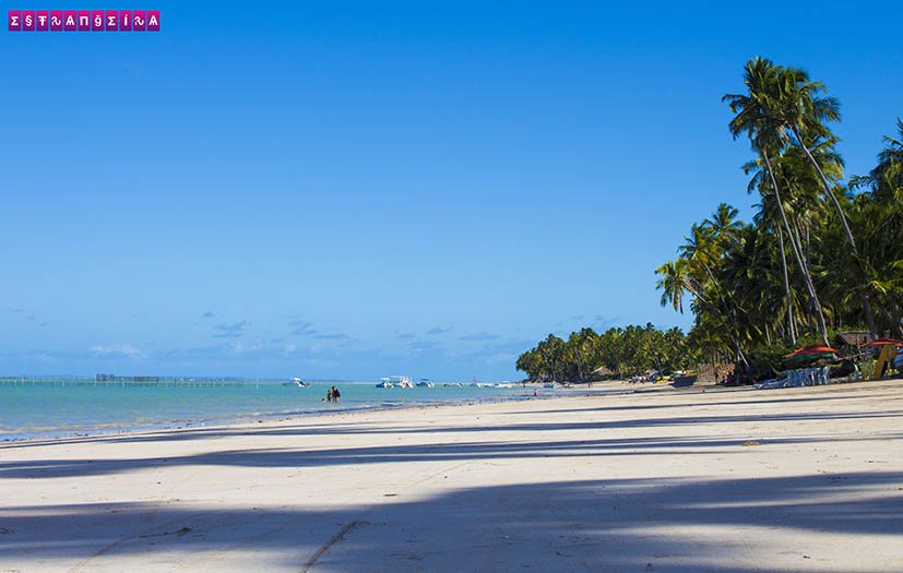 Maragogi-Ponta-do-Mangue