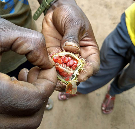 viagem-zanzibar-tanzania-africa-spice-farm
