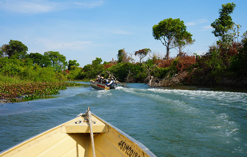 rios-pantanal
