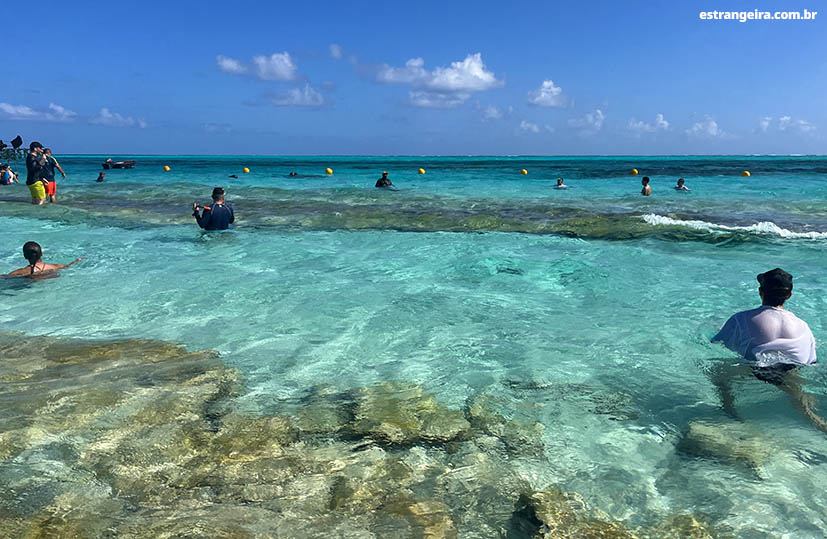 passeios-em-san-andres-Acuario
